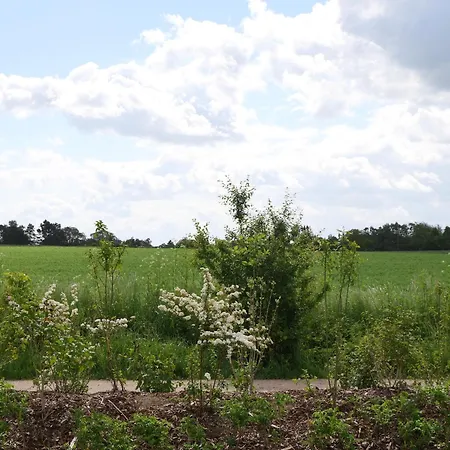 Dicht An Der Kueste Haus 